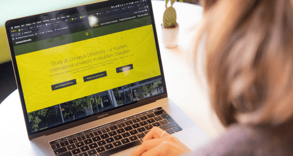 Linnaeus University Scholarships program for International Students 2023