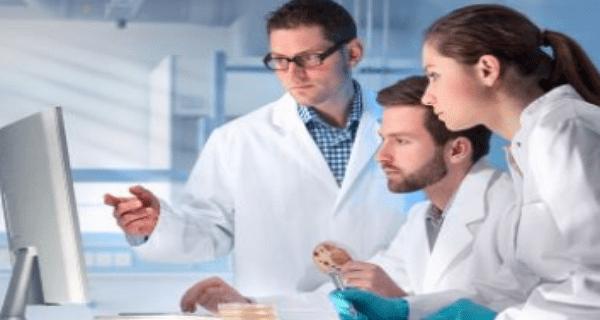 Monash University Graduates Research Internships 2023