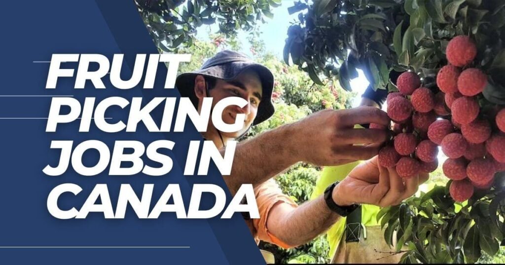 Fruit Picking Jobs