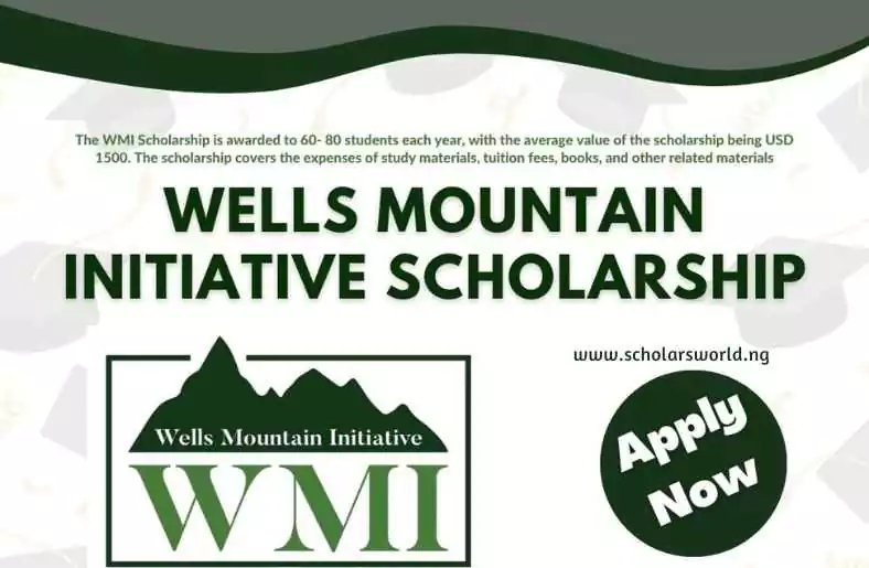Wells Mountain Initiative (WMI) Scholars Program