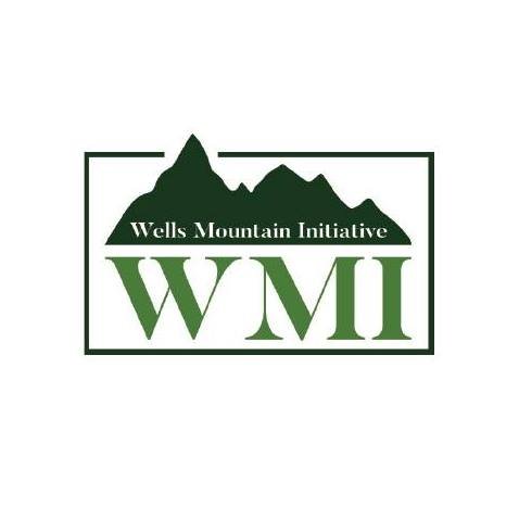 Wells Mountain Initiative (WMI) Scholars Program