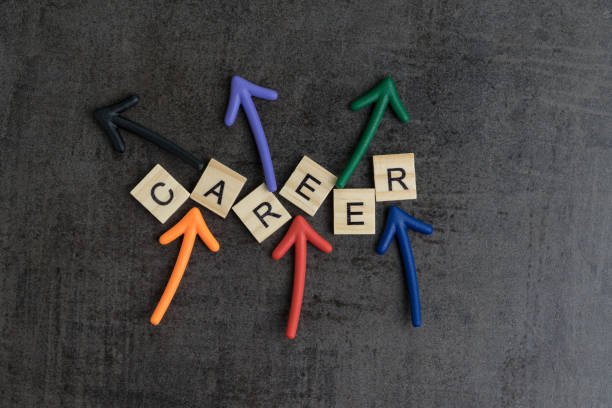 Best Careers to Choose Before 2025